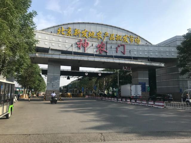 新发地市场引发北京疫情反弹，专家：三文鱼不可能是病毒载体