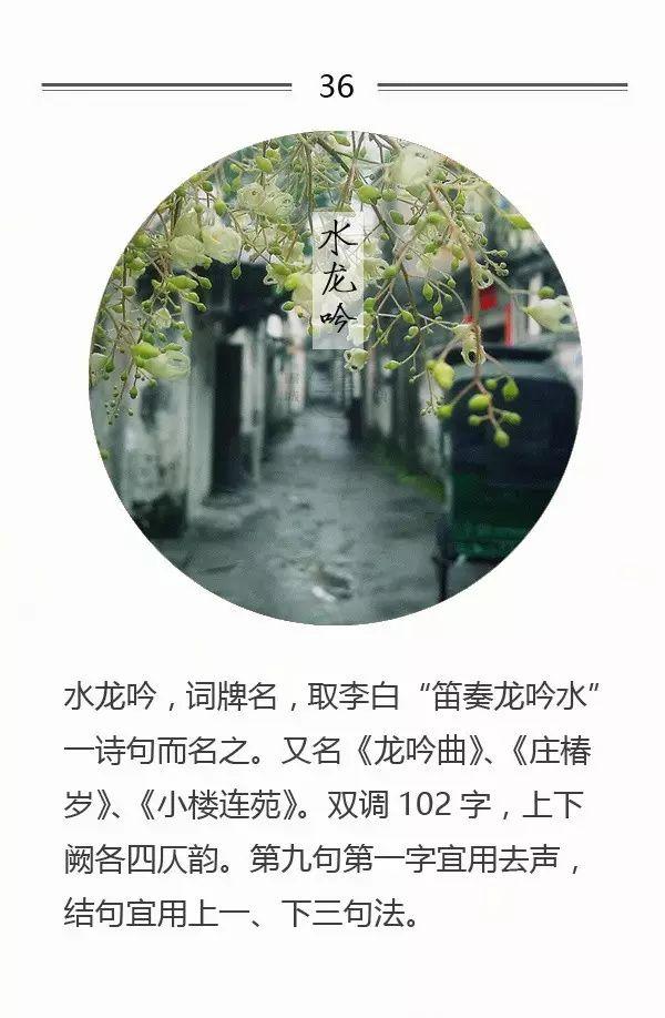 100首名篇，100个词牌由来（宜收藏）