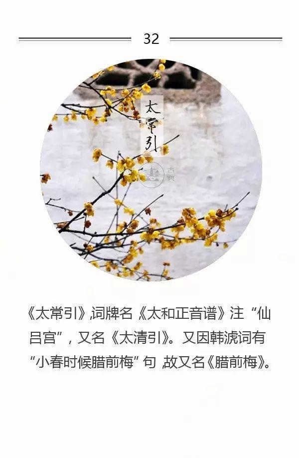 100首名篇，100个词牌由来（宜收藏）