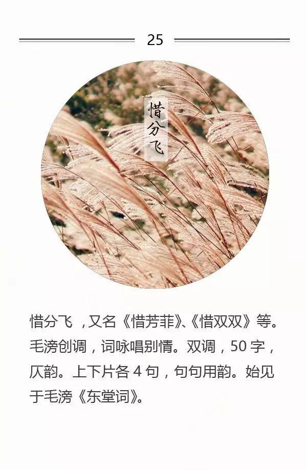 100首名篇，100个词牌由来（宜收藏）