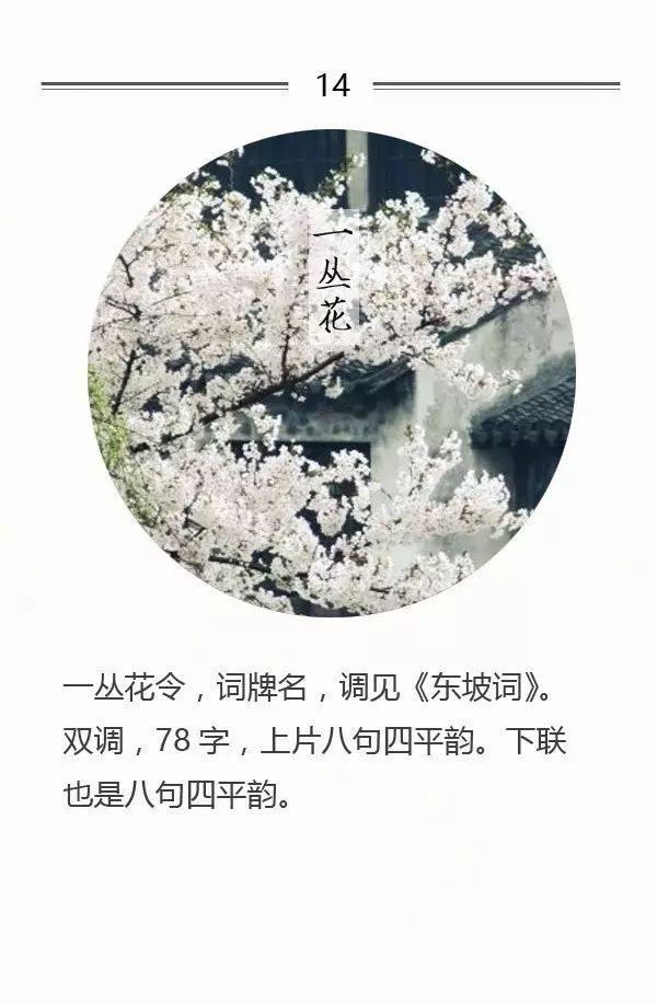 100首名篇，100个词牌由来（宜收藏）