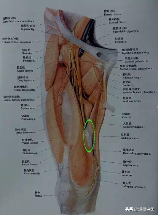 “从头到脚”的纯干货，珍藏版