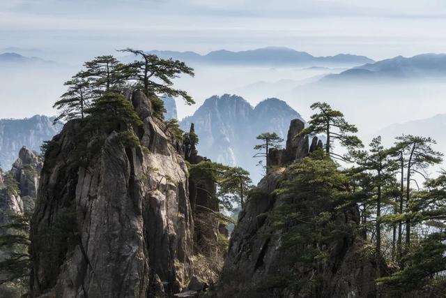 谁让黄山更美丽